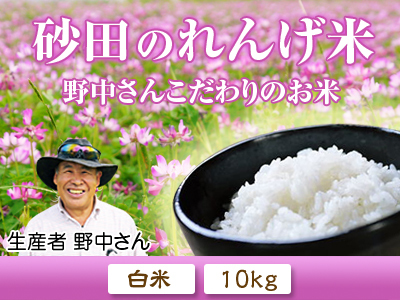 砂田米 『砂田のこだわりれんげ米』数量限定で販売中!早い者勝ちです!平成29年度も元気に成長中!_a0254656_18195491.jpg