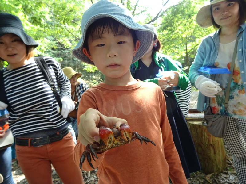 c0108460_23314725.jpg