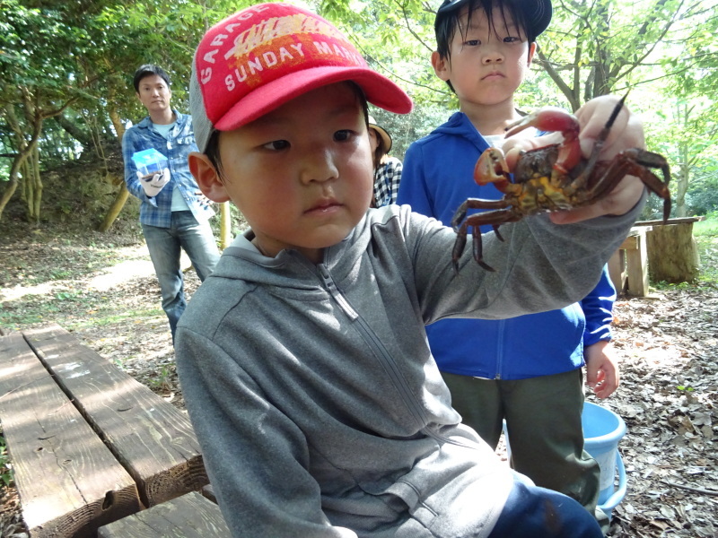 c0108460_23321012.jpg