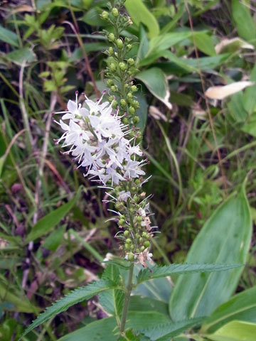 f0083977_07020441.jpg