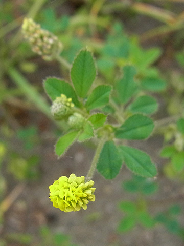 f0083977_07023115.jpg