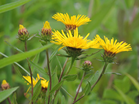 f0083977_07054181.jpg