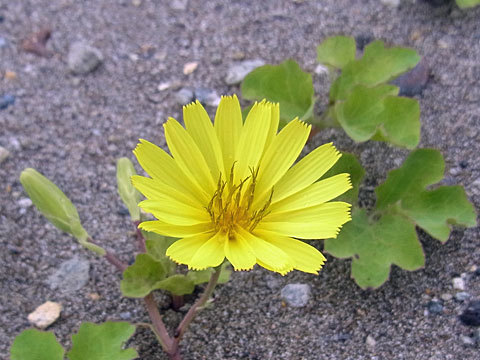 f0083977_07063961.jpg