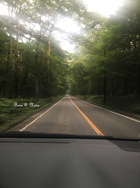 c0283778_16172173.jpg