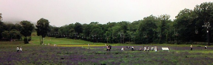 f0007580_22204198.jpg