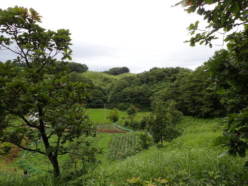 f0348480_17500437.jpg