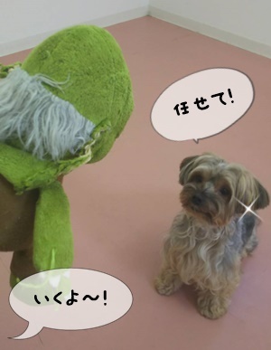 おもちゃで遊んだよ♪_f0357682_15355640.jpg