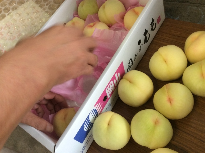 岡山大好き！「美味しい物の宝庫です。特に｢桃｣がおいしいよ～～」編_e0359584_18450489.jpeg