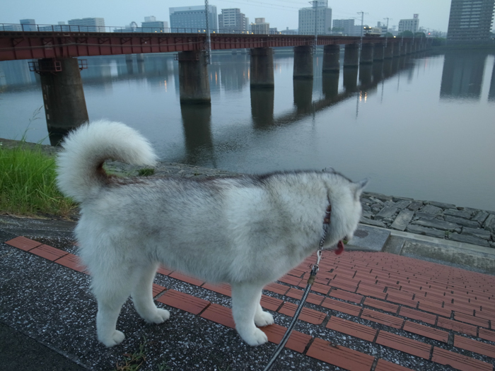 朝からハーハーで(^_^;)_c0049299_22002840.jpg