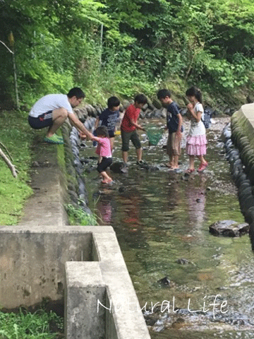 b0162000_05320697.gif