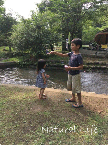b0162000_05322484.gif