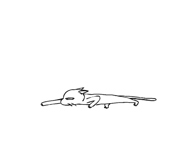 c0011300_22191891.gif