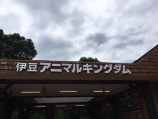 孫達と伊豆旅行１日目_f0035400_21562241.jpg