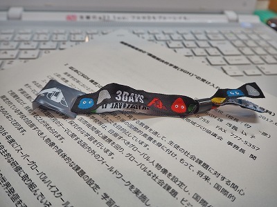 兼業農家はちょっとだけ\"フジロック!\"へ_c0336902_18543049.jpg