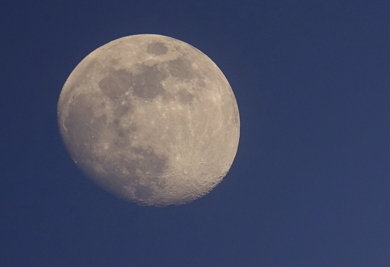 a0120304_02465784.png
