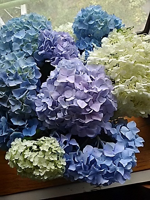 f0316507_16005853.jpg