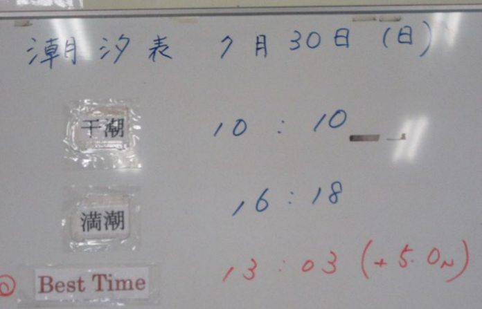 f0231709_22560833.png