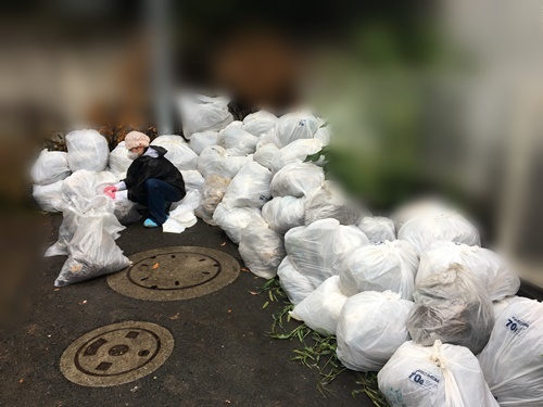 2017年　7月26日 東京都江戸川区、ＭＩＸ犬一斉手術報告_a0304512_21464236.jpg