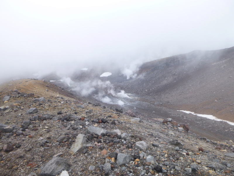 d0170615_16195550.jpg