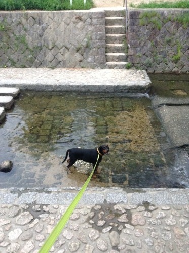 c0324418_17270266.jpeg
