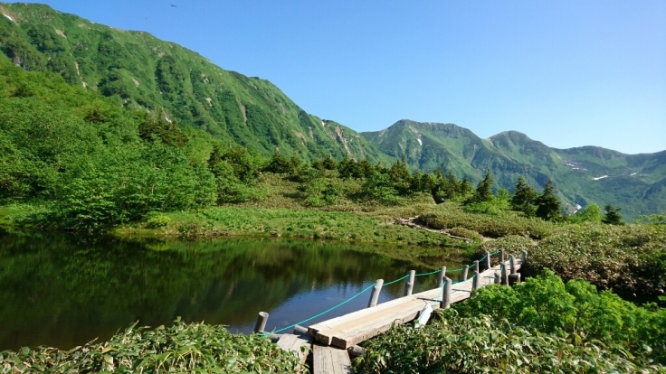 b0148050_13032242.jpg