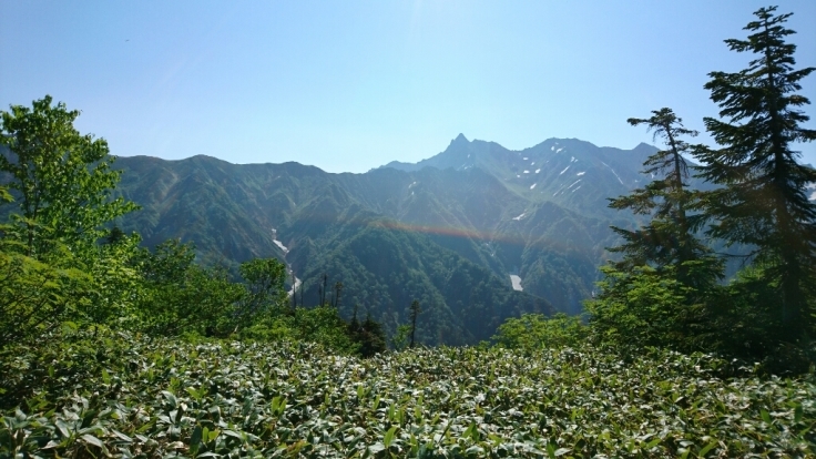 b0148050_13032770.jpg