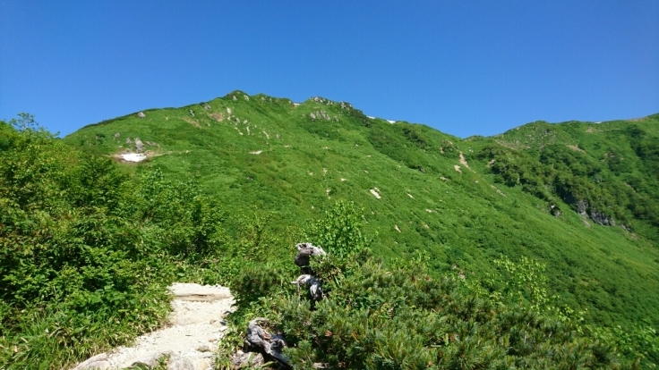 b0148050_14405931.jpg