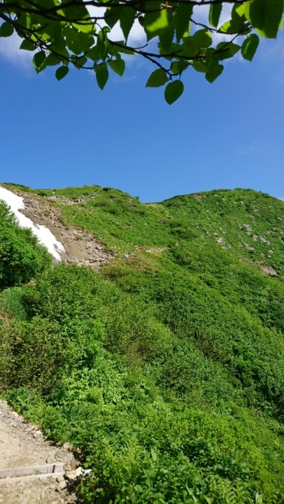 b0148050_16300496.jpg