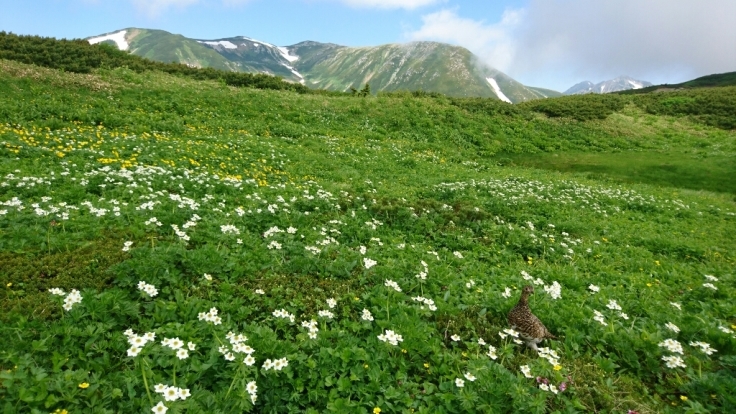b0148050_18383433.jpg