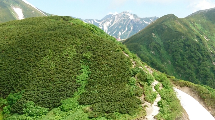 b0148050_18483293.jpg