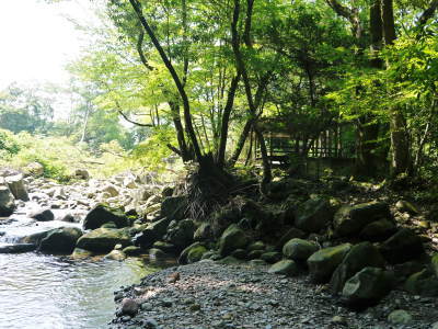 FLCパートナーズストアの本社所在地(株式会社旬援隊)熊本県菊池市、菊池水源の山奥の様子 2017夏編_a0254656_18595244.jpg