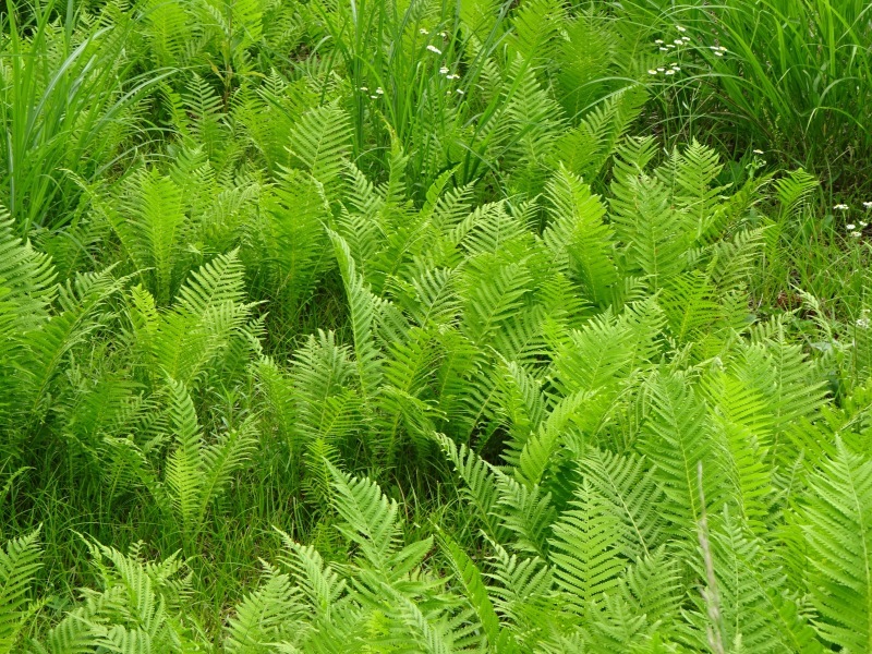 f0198556_22363553.jpg