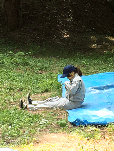 c0152274_20074239.gif