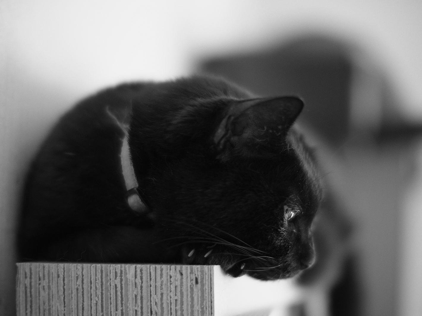 f0121181_00544109.jpg