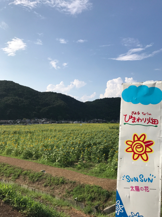 『麻薬王』慶尚北道の道路で撮影_f0378683_18423016.jpg