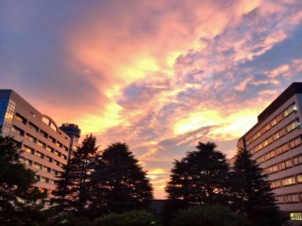 f0281184_09075804.jpg