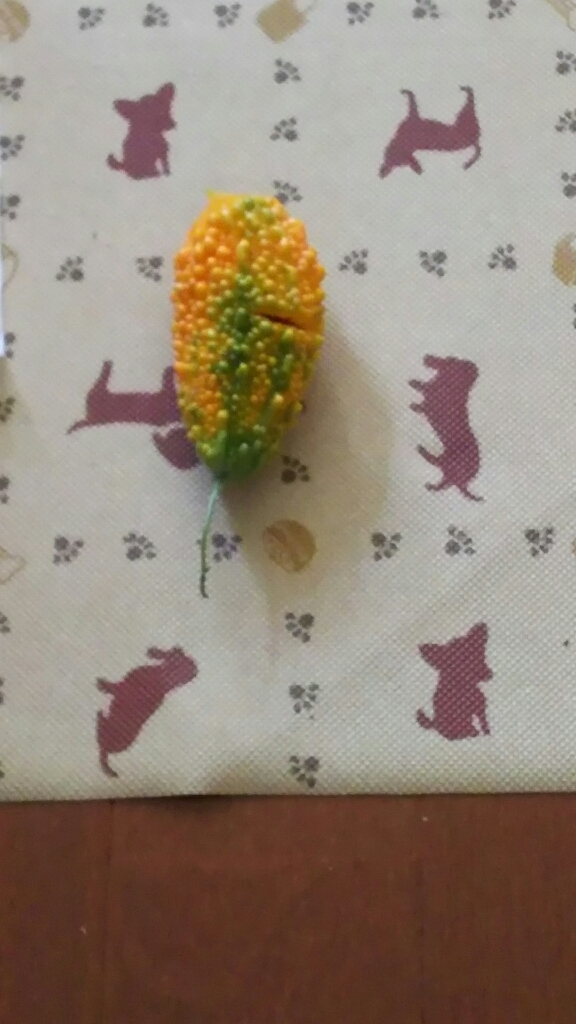 c0191390_22044399.jpg