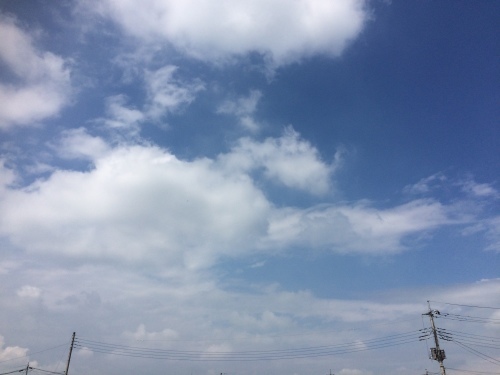 f0215094_16480351.jpg