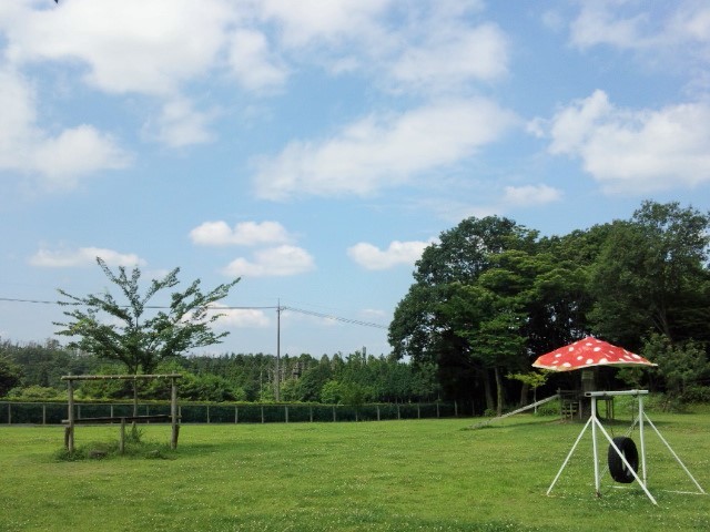 a0105396_17475937.jpg