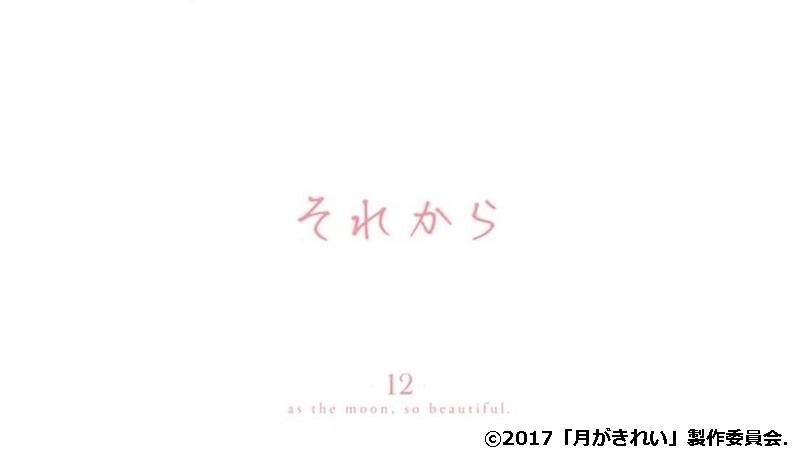 「月がきれい」舞台探訪013 川越市その11(第12話-2 大好きだ!それから・・・)_e0304702_20513618.jpg