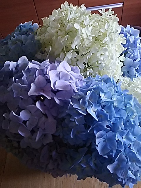 f0316507_06394193.jpg