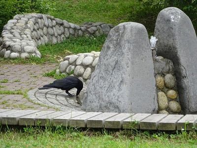 f0328313_10411815.jpg