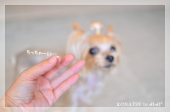 d0179828_14161952.png