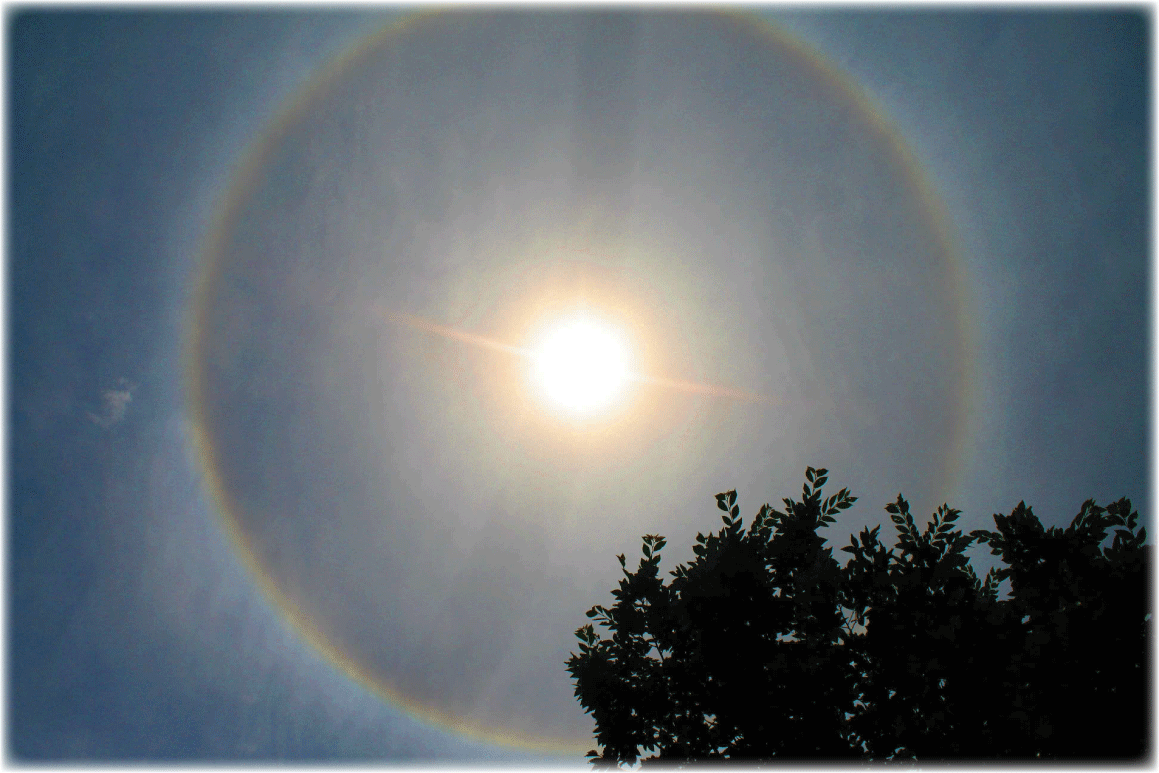 c0107829_10595285.gif