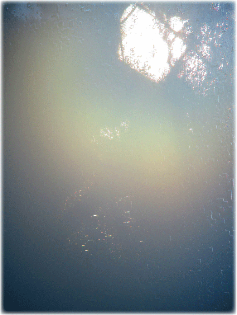 c0107829_11000697.gif
