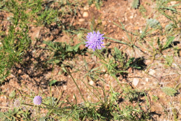 b0046933_54283.jpg