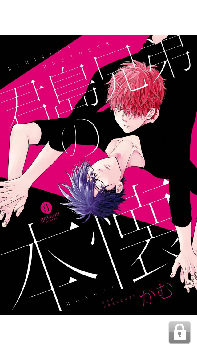 全血缘弟x兄,但是我想不到该怎麼描述剧情(囧)也可说是不算特别吧.