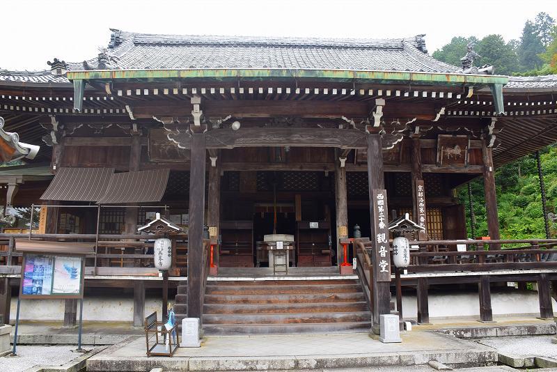 善峯寺（西国札所）の日本一の松（天然記念物）20170725_e0237645_23424890.jpg