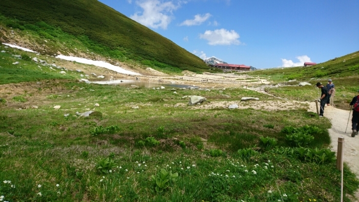 b0148050_08332000.jpg