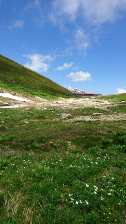 b0148050_08332269.jpg